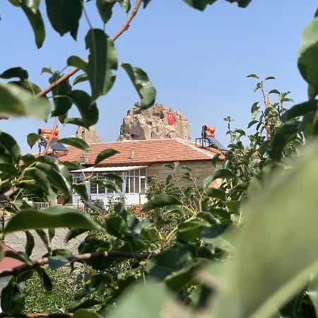 Capiedra