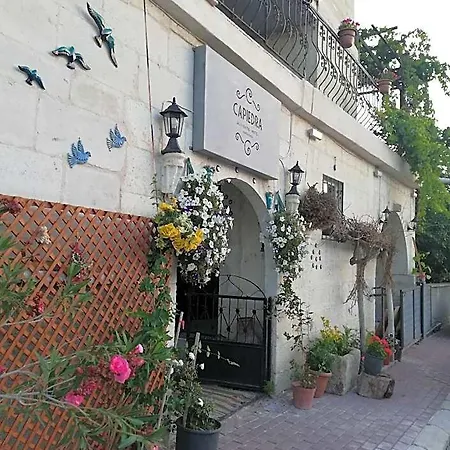 Hotel Capiedra 3*
