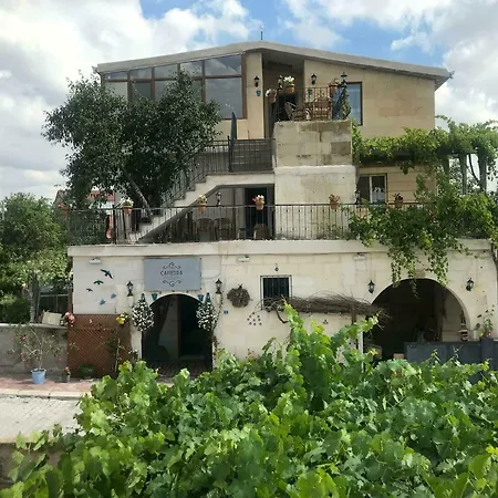 Hotel Capiedra 3*